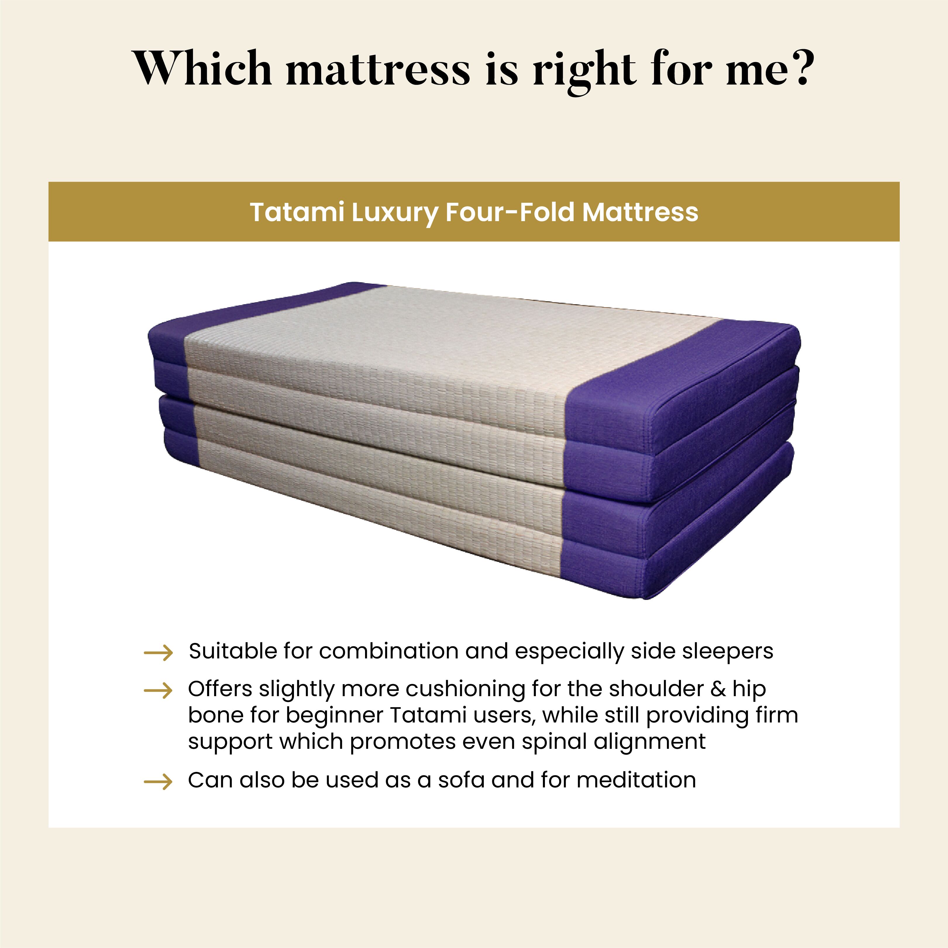 4.5/5cm Thickness Foldable Japanese Tatami Mattress Mat Rectangle